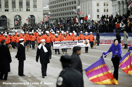 2005 Ingural Parade with ARDA Dogs